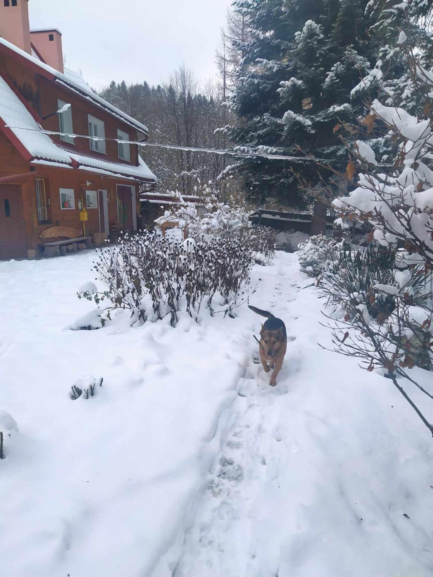 Agroturystyka U Psotki Kuzmina Exteriör bild